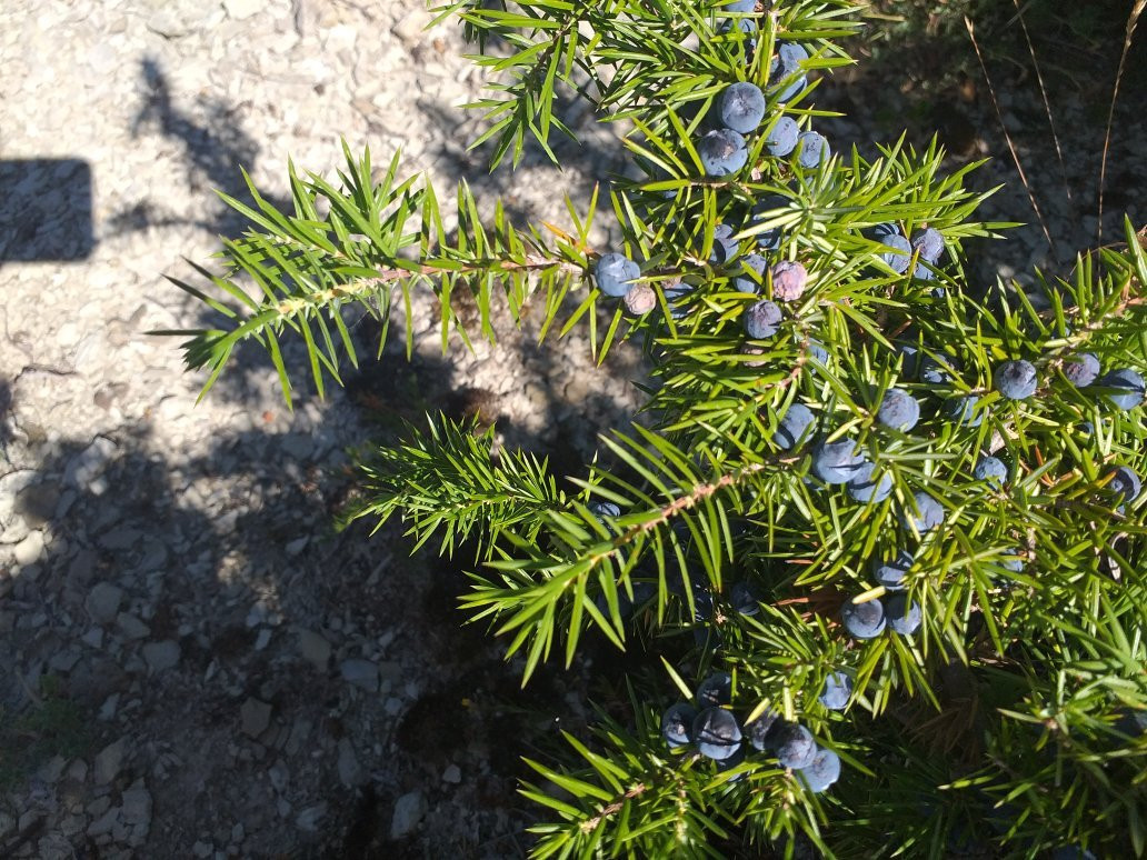 Rifugio /Bivacco di Nasseto景点图片