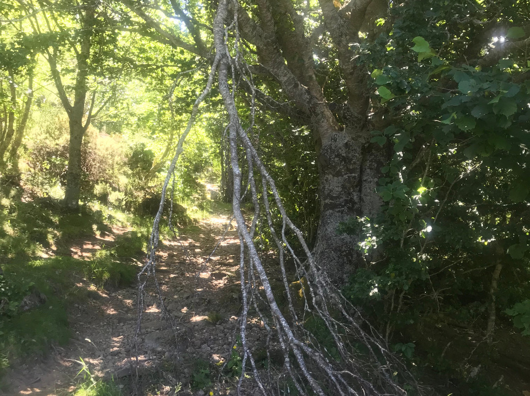 Cueva Cobre-Santa Maria de Redondo必去景点