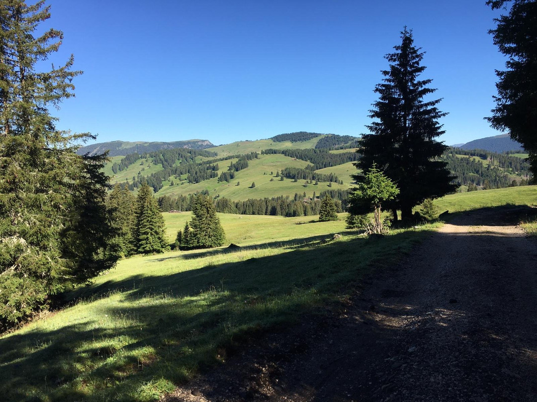 Santa Cristina Valgardena旅游攻略图片