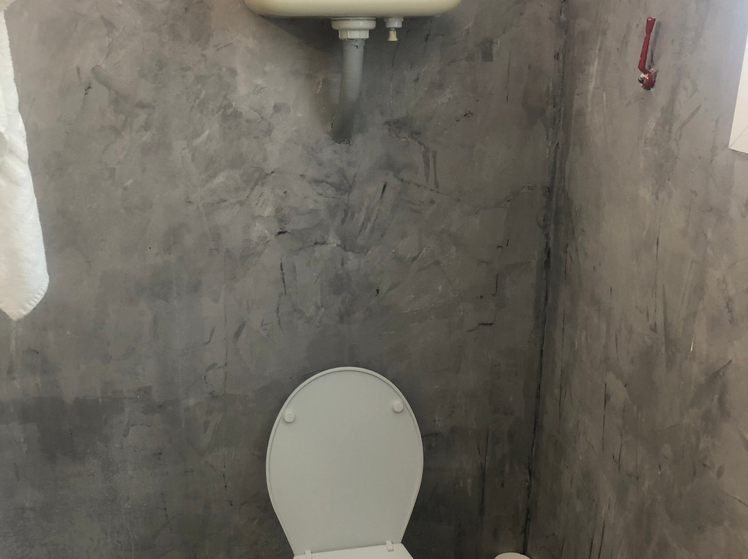 Olive Grove Poolside Apartments主图