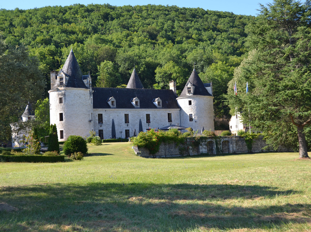 Chateau de la Fleunie主图