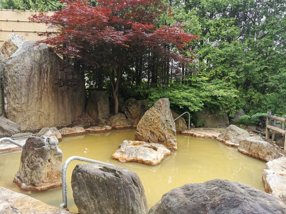 汤元白金温泉酒店主图