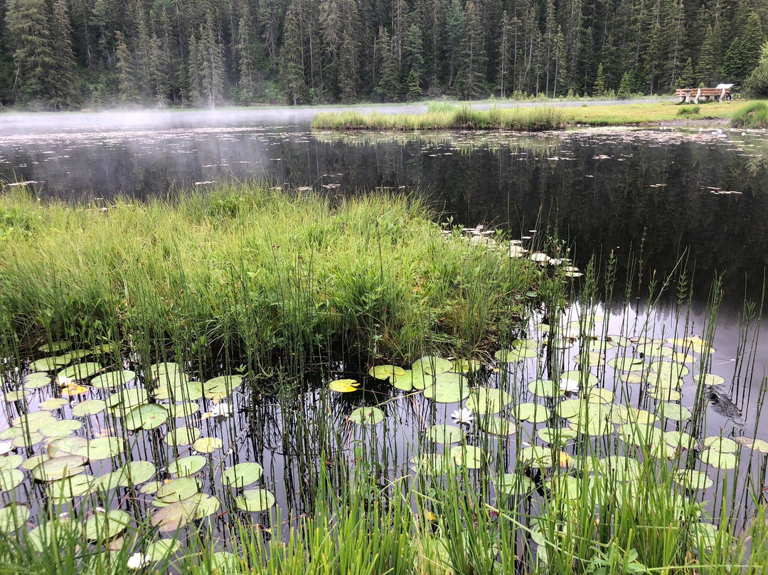 Schwarzer See-闹达斯必去景点