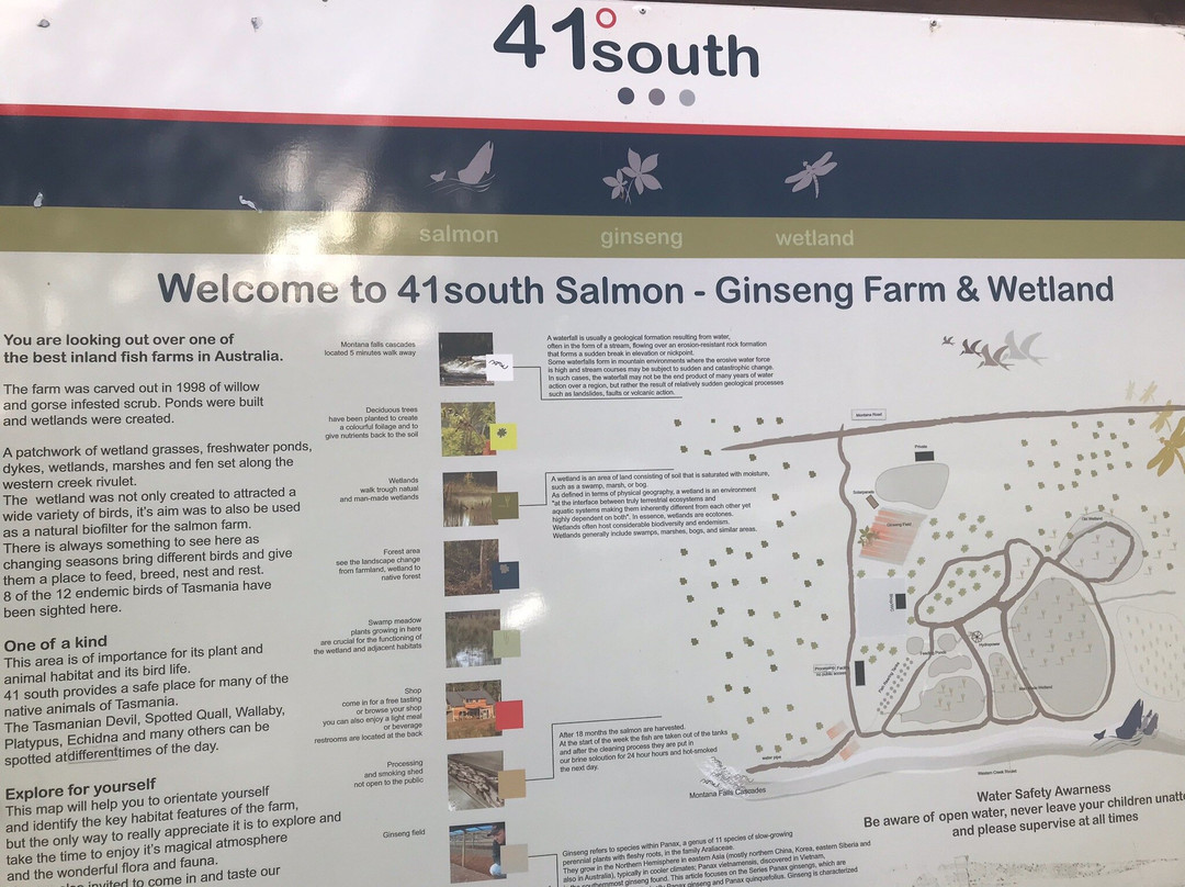 41 South Salmon and Ginseng Farm and Cafe-德洛兰恩必去景点
