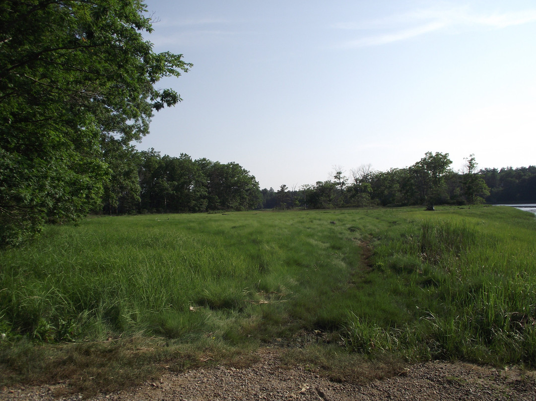 William A. Bray Memorial Park景点图片