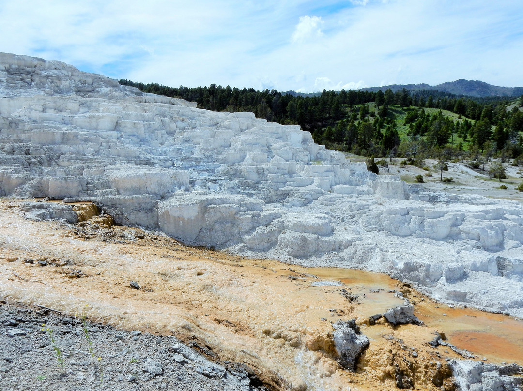 Terrace Mountain-黄石国家公园必去景点