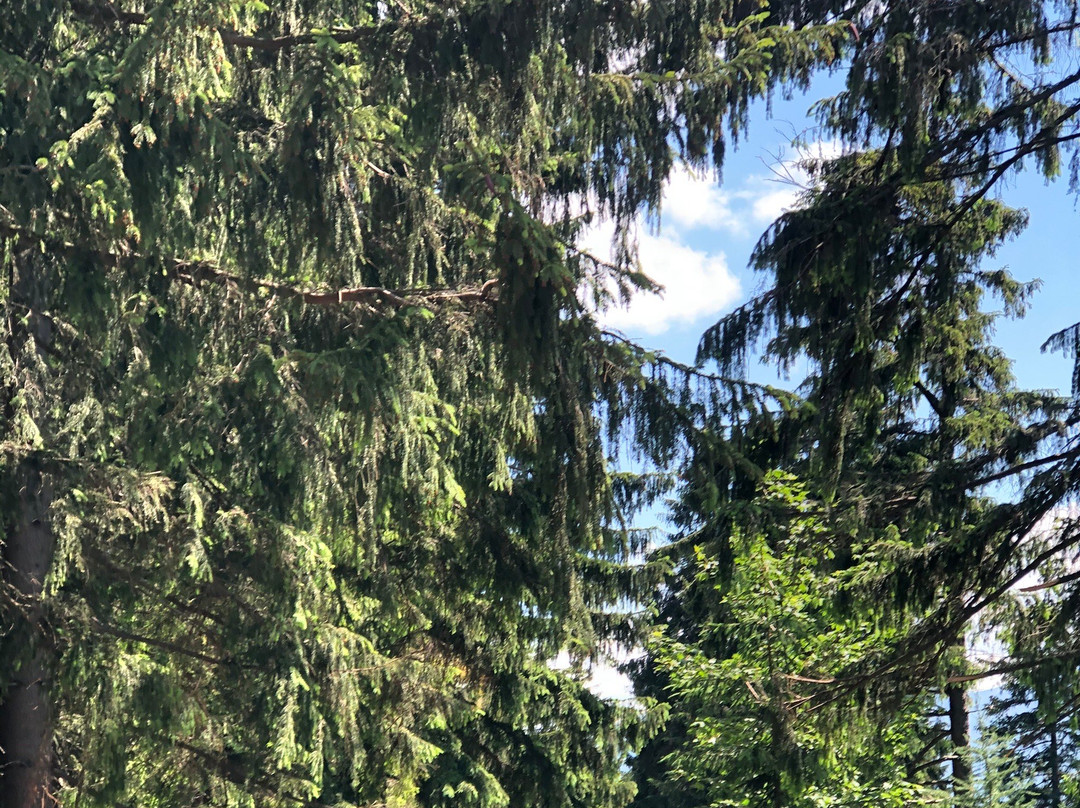 Jakuszyce Hotel Sport & Spa主图