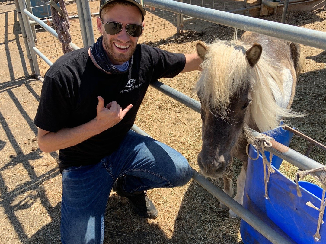 Ojai Valley Trail Riding Company-奥海必去景点