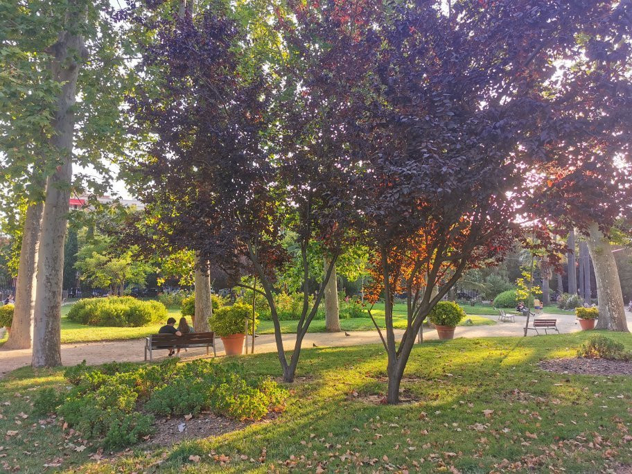 Jardins del Palau Falguera景点图片