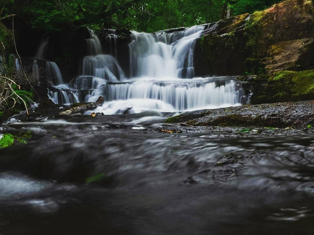 Alsea Falls Recreation Site-Alsea必去景点