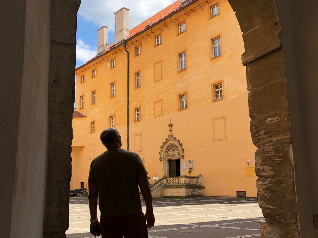 Podebrady Castle景点图片