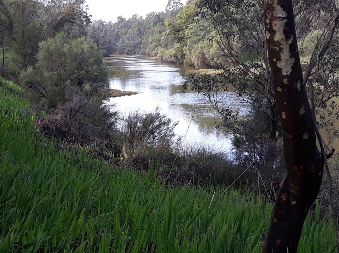 Whispering Pines B&B主图