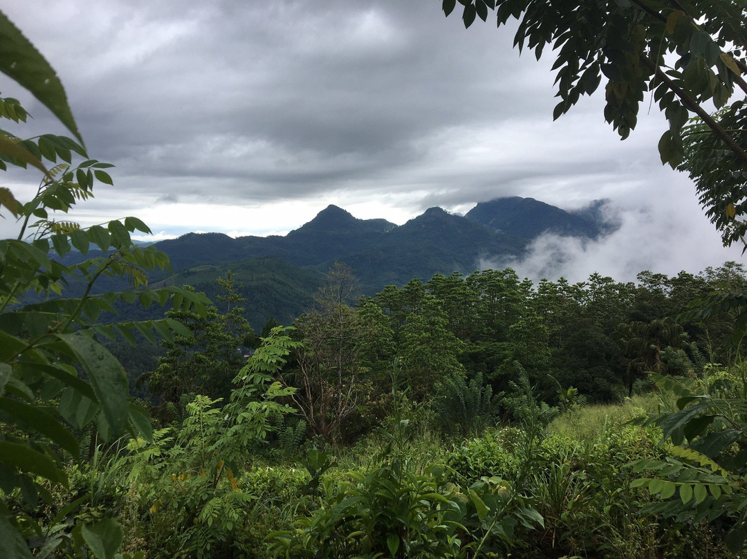 Thambapanni Travel Company-锡吉里亚必去景点
