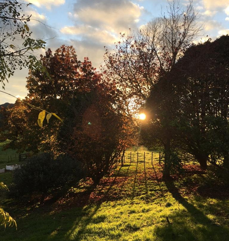 Out in the Styx Guesthouse主图