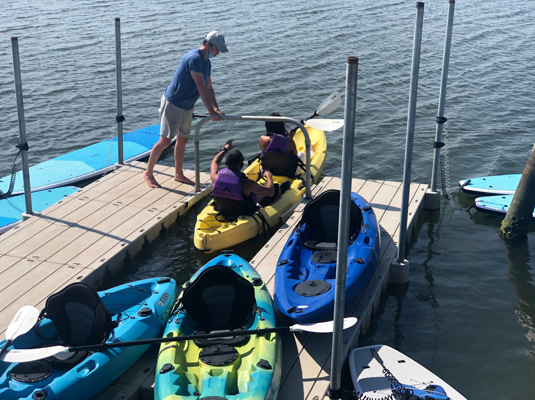 Adventure Paddleboards & Kayaks-汉普顿海湾必去景点