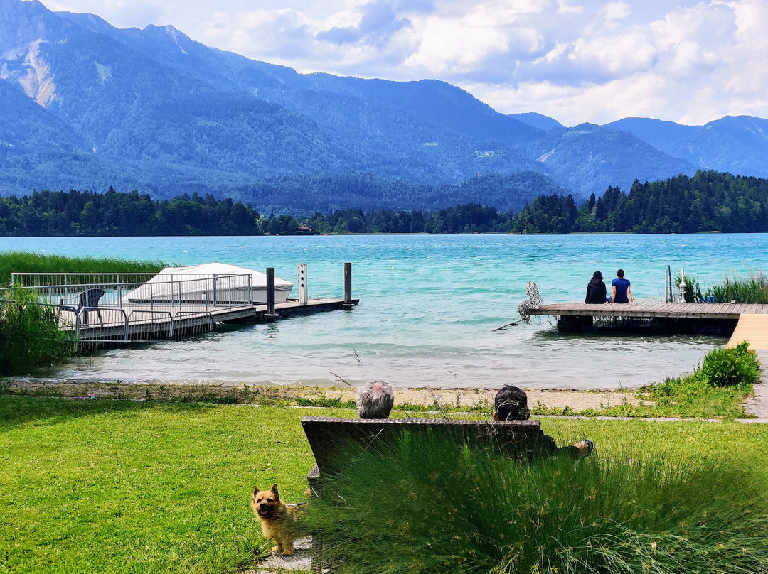 das Moser - Hotel Garni am See主图