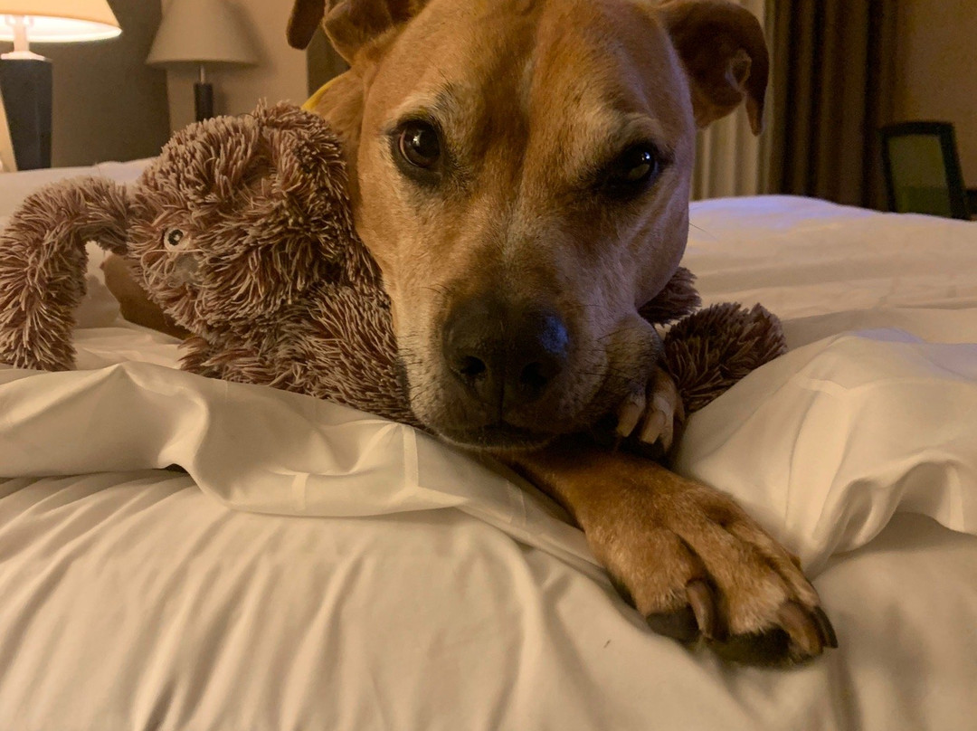 Holiday Inn Express Washington Ch Jeffersonville S by IHG主图