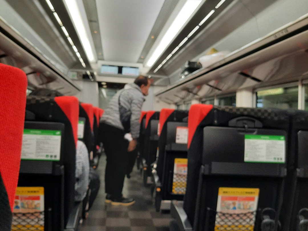 Narita Express (NEX)-成田市必去景点