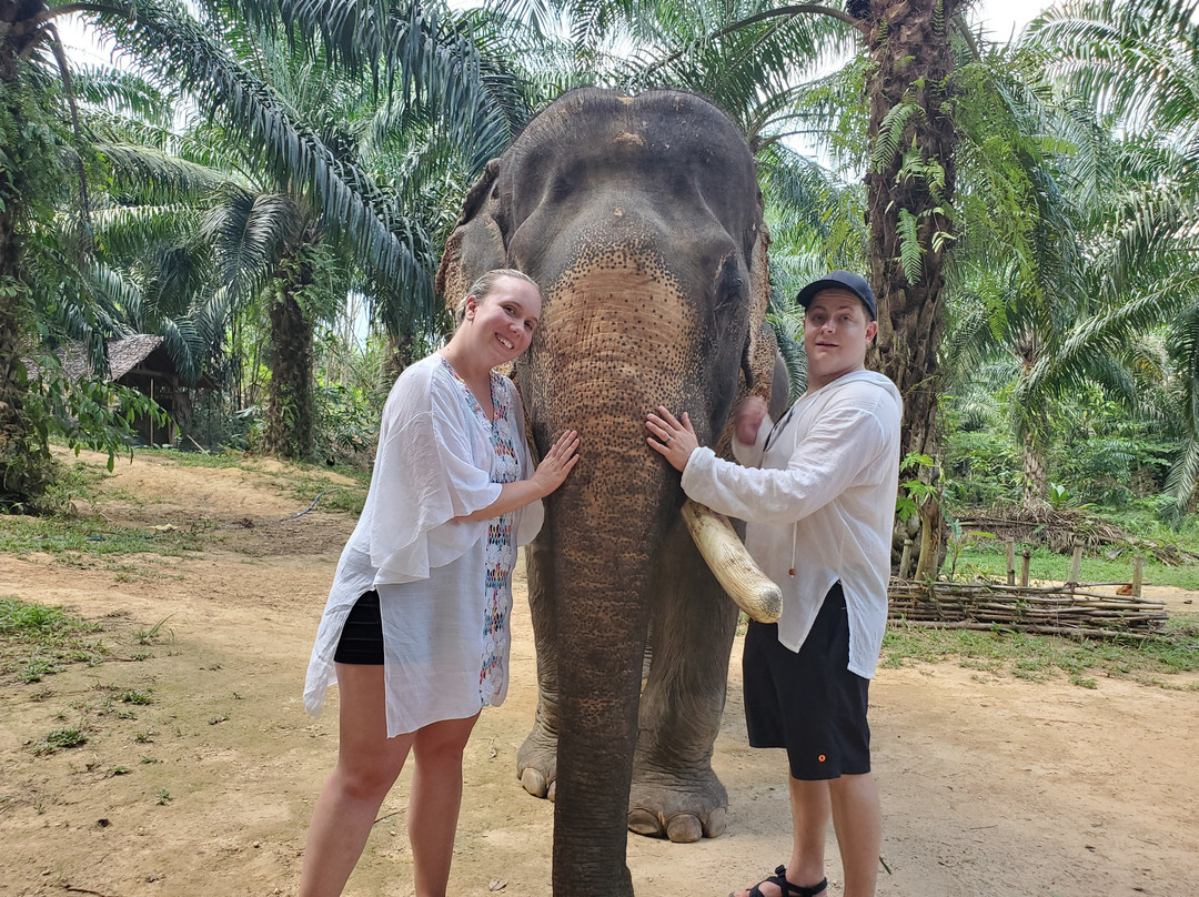 Sonchana Farm and Elephant Sanctuary-素叻他尼必去景点