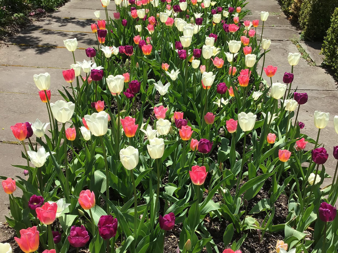 Albany County Historical Association-奥尔巴尼必去景点