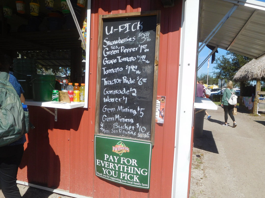 Bedner's Farm Fresh Market-博因顿海滩必去景点
