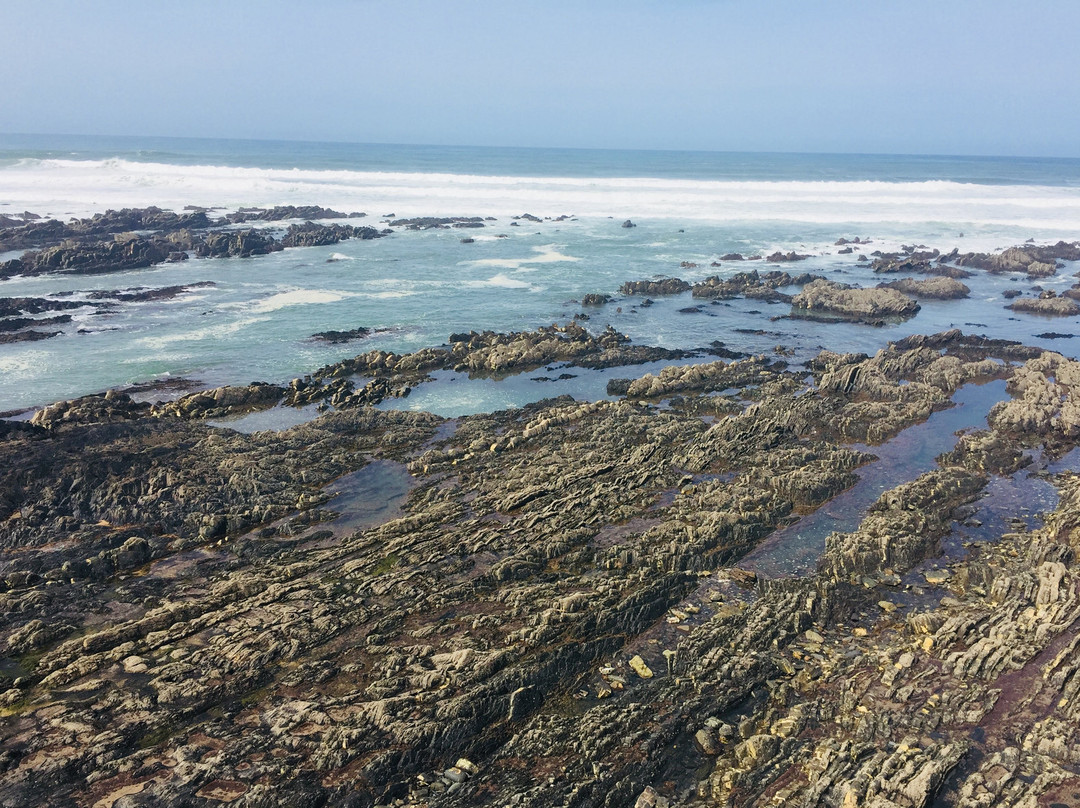 Cape Sardão景点图片