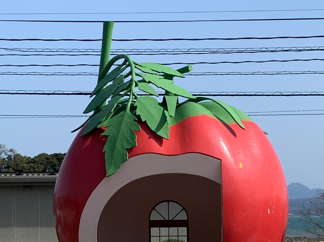 Fruits Bus Stop景点图片