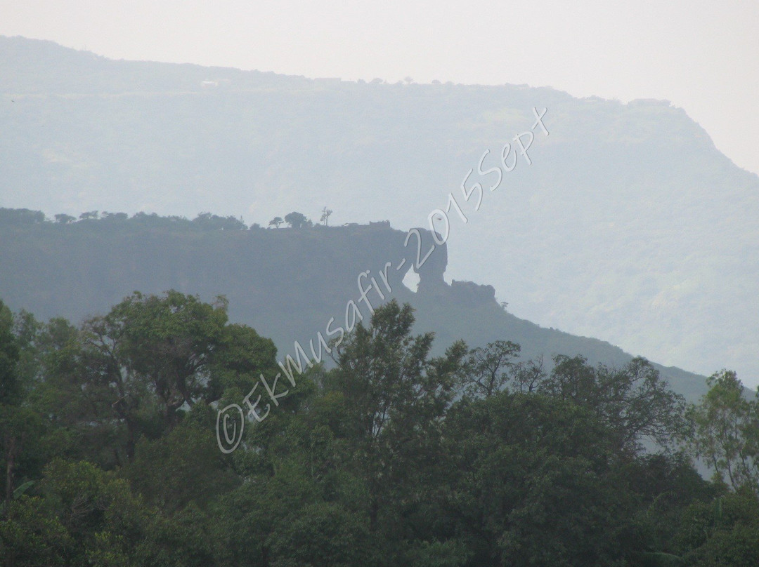 Elephant's Head Point景点图片