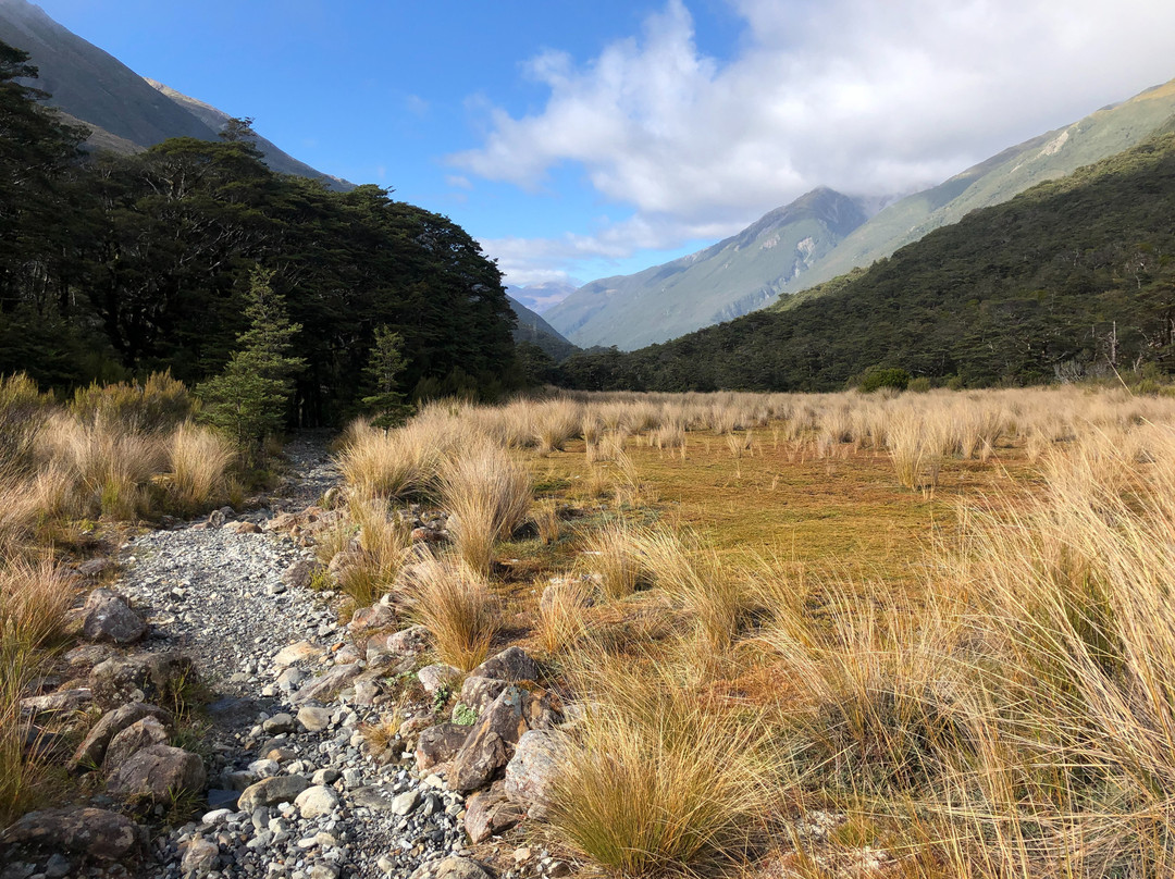 Bealey Valley Track景点图片