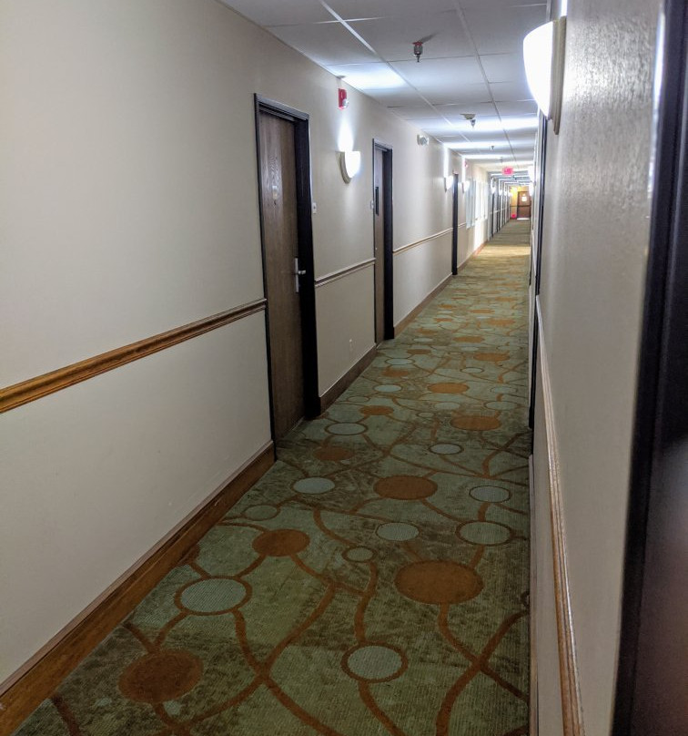 Quality Inn & Suites主图