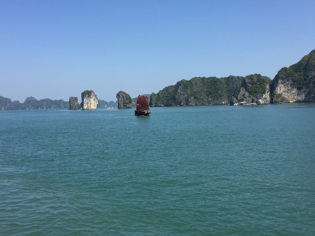 Alibaba's Hotel主图