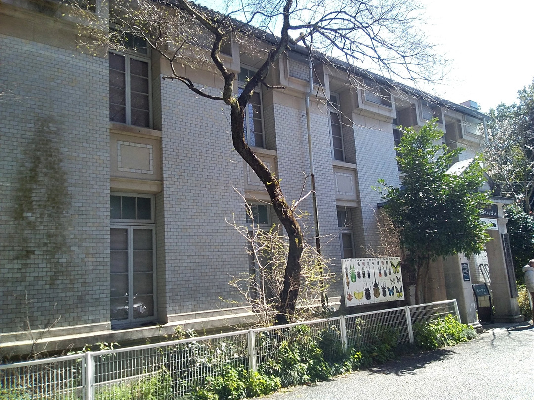 Nawa Insect Museum-岐阜市必去景点