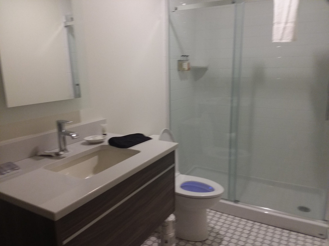 Hotel on Monroe, BW Signature Collection主图