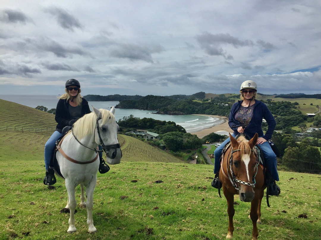 Sandy Bay Horses景点图片