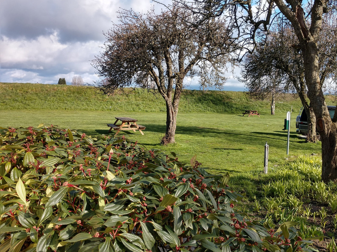 Skagit Valley RV Park