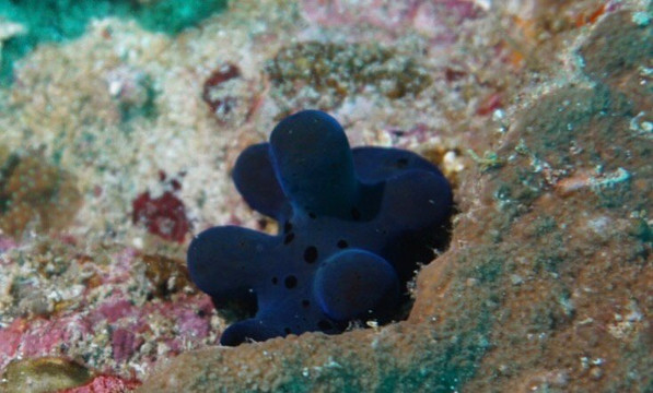 Khao Lak Fun Diver-拉克山必去景点