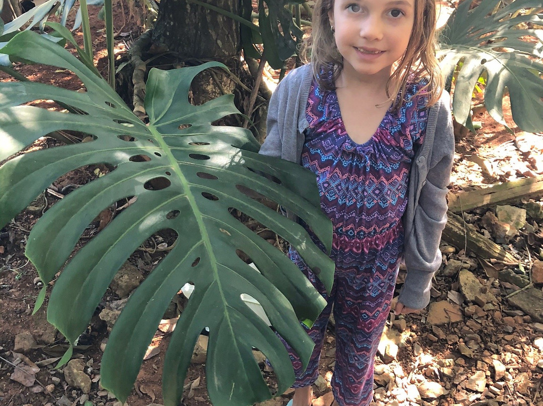 Jardin Botanico de Viñales-维纳勒斯必去景点