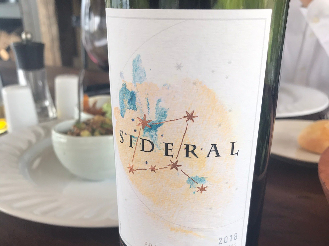 Vina San Pedro-Requinoa必去景点