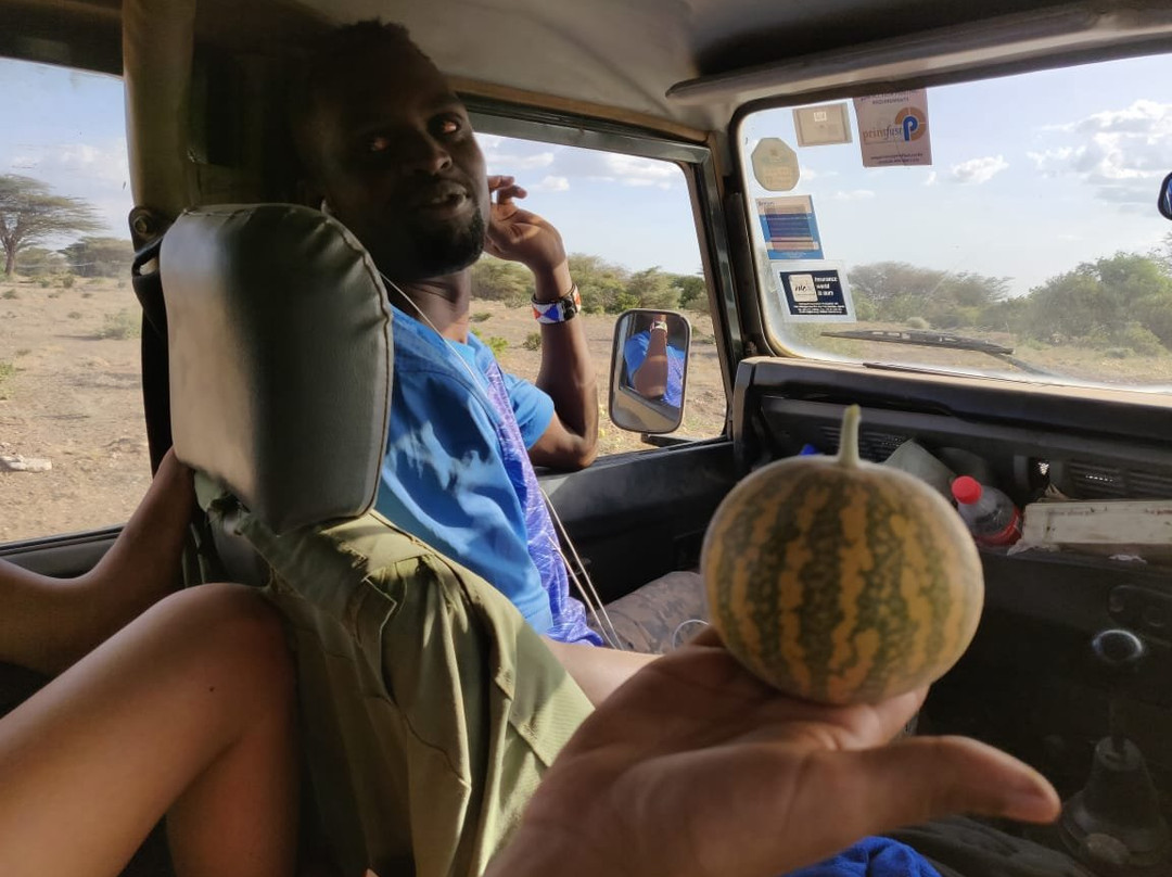 Chalbi Desert-Marsabit必去景点