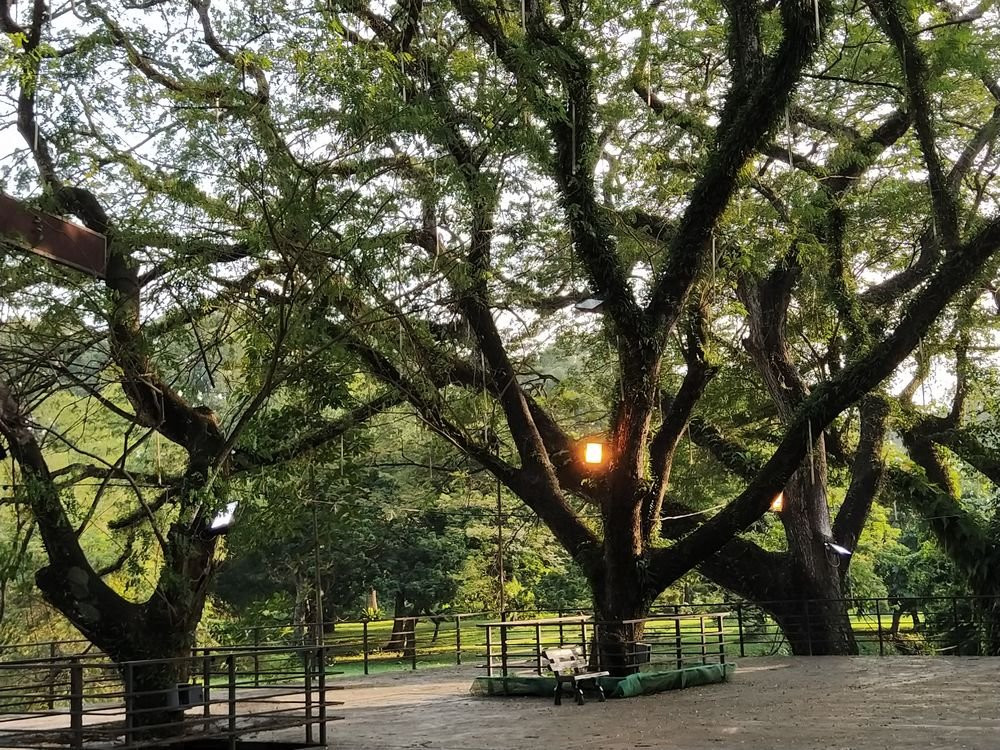 D.R. Seenivasagam Park-怡保必去景点