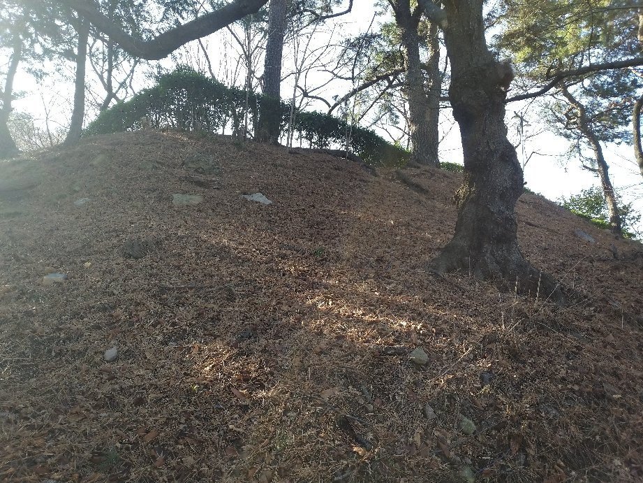 Hakseong Park-蔚山必去景点