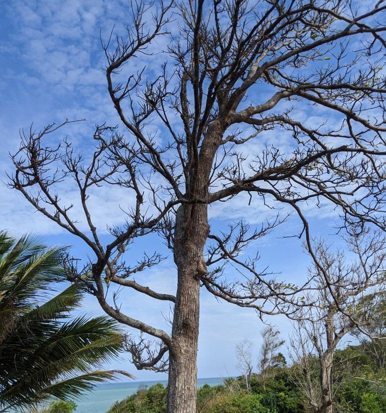 Sea Horizon Resort主图