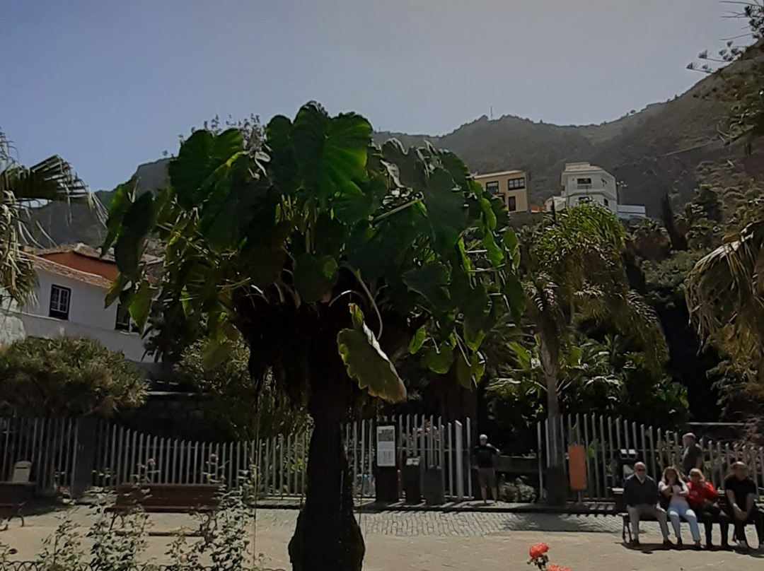 Plaza Juan González de la Torre景点图片