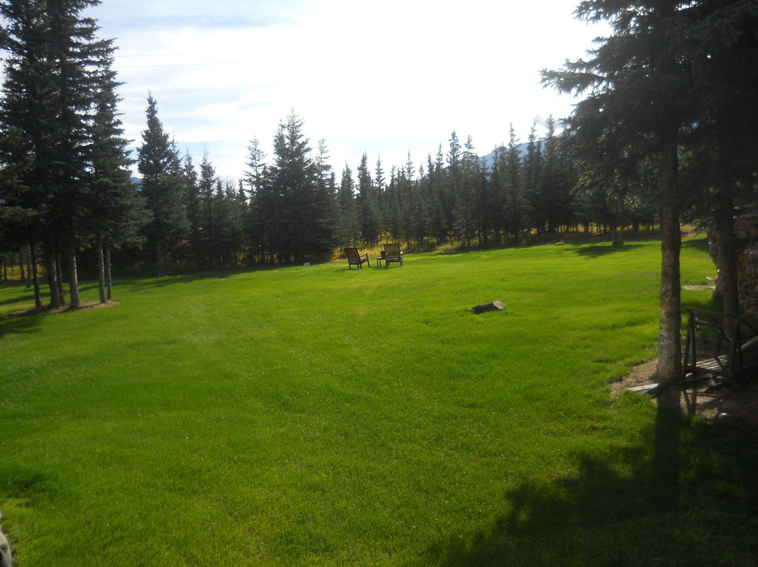 Denali Dome Home Bed And Breakfast主图