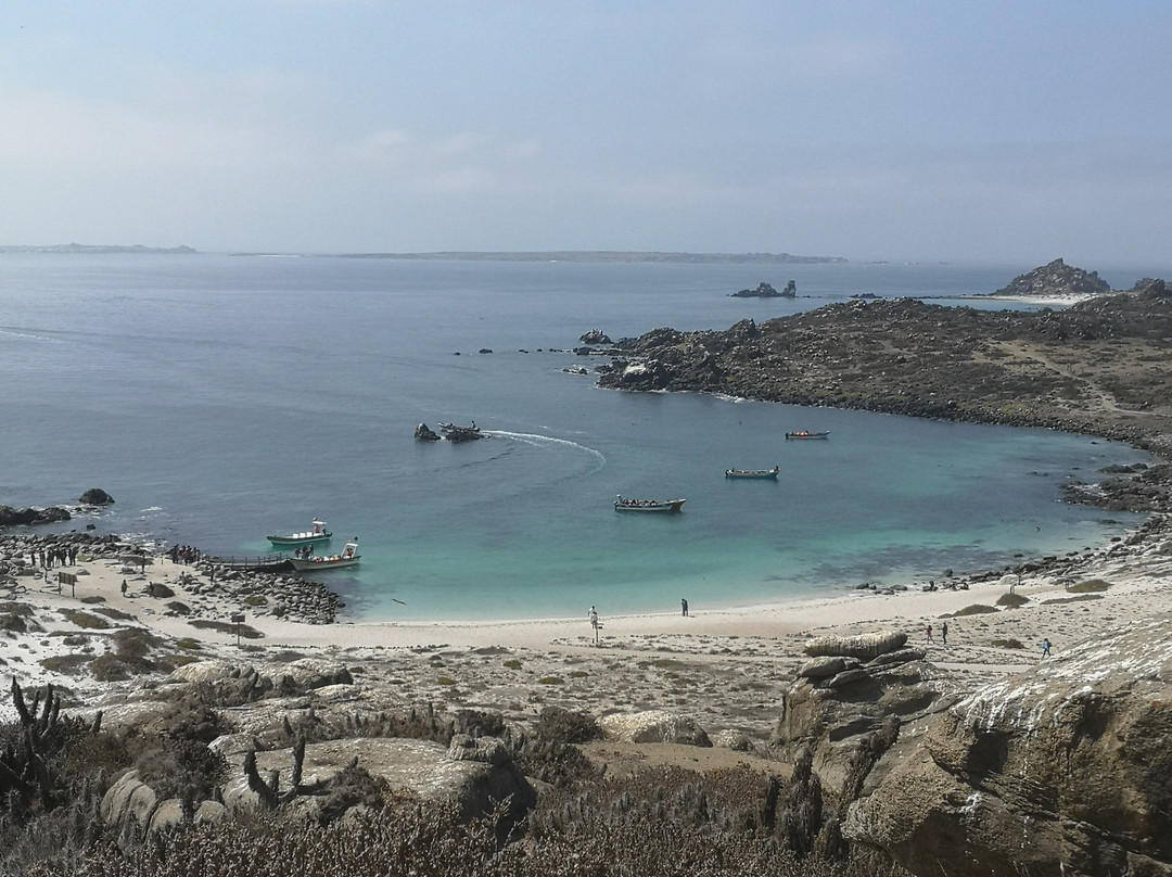 Isla Damas-拉塞雷纳必去景点