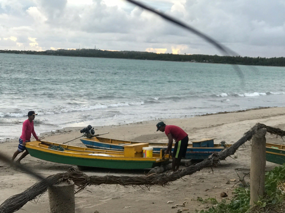 Pousada Doze cabanas主图