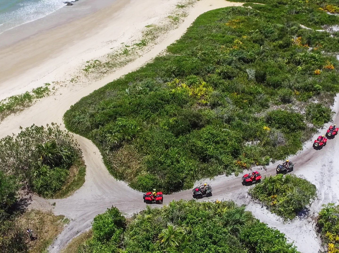 Praia de Patimirim-特兰科苏必去景点