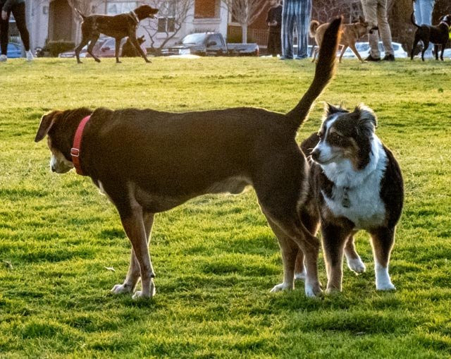 Cemetery Memorial Park-文图拉县必去景点