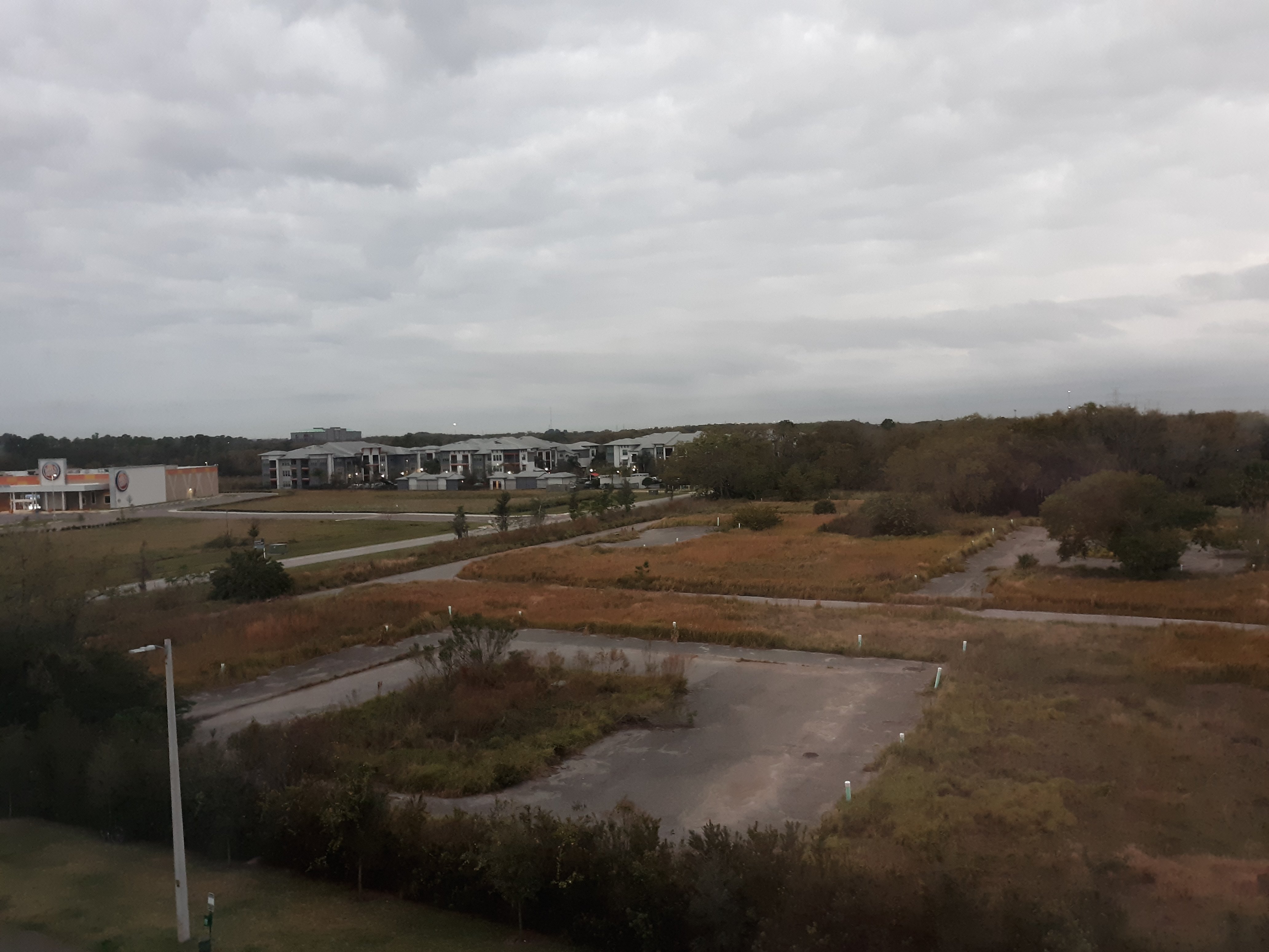 Home2 Suites By Hilton Brandon Tampa-酒店景观