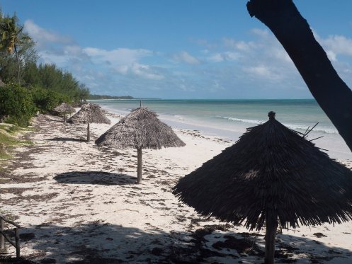 Pakachi Beach Hotel-泳池